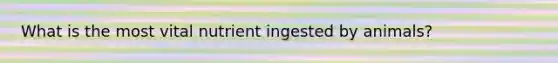 What is the most vital nutrient ingested by animals?