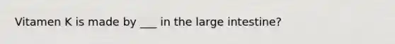 Vitamen K is made by ___ in the large intestine?