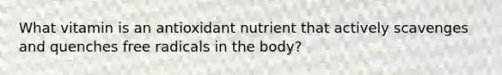 What vitamin is an antioxidant nutrient that actively scavenges and quenches free radicals in the body?