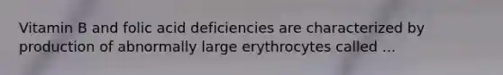 Vitamin B and folic acid deficiencies are characterized by production of abnormally large erythrocytes called ...