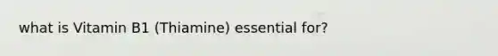 what is Vitamin B1 (Thiamine) essential for?