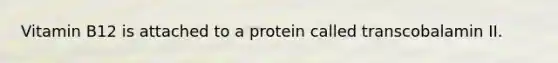 Vitamin B12 is attached to a protein called transcobalamin II.