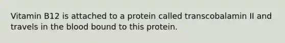 Vitamin B12 is attached to a protein called transcobalamin II and travels in the blood bound to this protein.