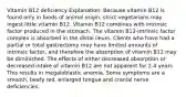 Vitamin B12 deficiency Explanation: Because vitamin B12 is found only in foods of animal origin, strict vegetarians may ingest little vitamin B12. Vitamin B12 combines with intrinsic factor produced in the stomach. The vitamin B12-intrinsic factor complex is absorbed in the distal ileum. Clients who have had a partial or total gastrectomy may have limited amounts of intrinsic factor, and therefore the absorption of vitamin B12 may be diminished. The effects of either decreased absorption or decreased intake of vitamin B12 are not apparent for 2-4 years. This results in megaloblastic anemia. Some symptoms are a smooth, beefy red, enlarged tongue and cranial nerve deficiencies.