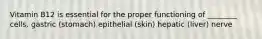Vitamin B12 is essential for the proper functioning of ________ cells. gastric (stomach) epithelial (skin) hepatic (liver) nerve