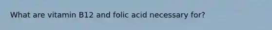 What are vitamin B12 and folic acid necessary for?