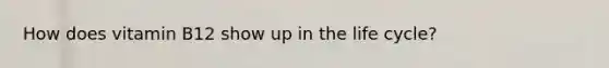 How does vitamin B12 show up in the life cycle?