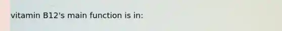 vitamin B12's main function is in:
