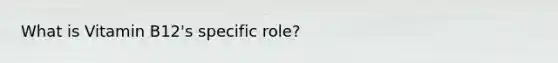 What is Vitamin B12's specific role?