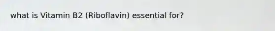 what is Vitamin B2 (Riboflavin) essential for?