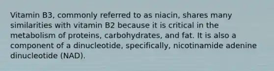 Vitamin B3, commonly referred to as niacin, shares many similarities with vitamin B2 because it is critical in the metabolism of proteins, carbohydrates, and fat. It is also a component of a dinucleotide, specifically, nicotinamide adenine dinucleotide (NAD).