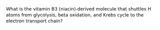 What is the vitamin B3 (niacin)-derived molecule that shuttles H atoms from glycolysis, beta oxidation, and Krebs cycle to the electron transport chain?