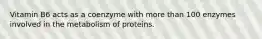 Vitamin B6 acts as a coenzyme with more than 100 enzymes involved in the metabolism of proteins.