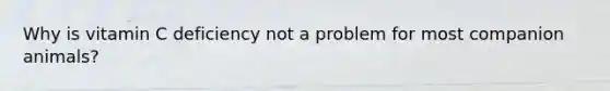 Why is vitamin C deficiency not a problem for most companion animals?