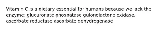 Vitamin C is a dietary essential for humans because we lack the enzyme: glucuronate phospatase gulonolactone oxidase. ascorbate reductase ascorbate dehydrogenase