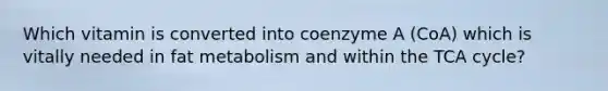 Which vitamin is converted into coenzyme A (CoA) which is vitally needed in fat metabolism and within the TCA cycle?