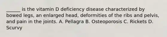 ______ is the vitamin D deficiency disease characterized by bowed legs, an enlarged head, deformities of the ribs and pelvis, and pain in the joints. A. Pellagra B. Osteoporosis C. Rickets D. Scurvy