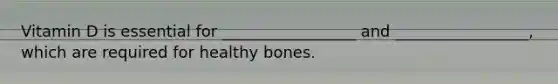 Vitamin D is essential for _________________ and _________________, which are required for healthy bones.