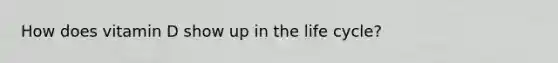 How does vitamin D show up in the life cycle?