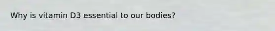 Why is vitamin D3 essential to our bodies?