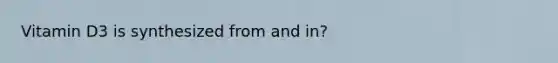 Vitamin D3 is synthesized from and in?