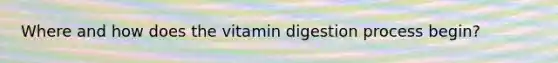 Where and how does the vitamin digestion process begin?