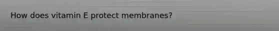 How does vitamin E protect membranes?
