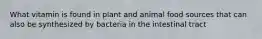What vitamin is found in plant and animal food sources that can also be synthesized by bacteria in the intestinal tract