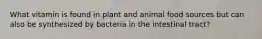 What vitamin is found in plant and animal food sources but can also be synthesized by bacteria in the intestinal tract?