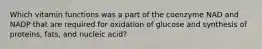 Which vitamin functions was a part of the coenzyme NAD and NADP that are required for oxidation of glucose and synthesis of proteins, fats, and nucleic acid?