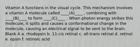 Vitamin A functions in the visual cycle. This mechanism involves a vitamin A molecule called ____(A)____ , combining with ____(B)____ to form ____(C)____ . When photon energy strikes this molecule, it splits and causes a conformational change in the molecule, causing an electrical signal to be sent to <a href='https://www.questionai.com/knowledge/kLMtJeqKp6-the-brain' class='anchor-knowledge'>the brain</a>. Blank A a. rhodopsin b. 11-cis retinal c. all-trans retinal d. retinol e. opsin f. retinoic acid