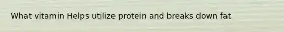 What vitamin Helps utilize protein and breaks down fat