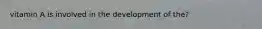 vitamin A is involved in the development of the?