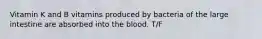 Vitamin K and B vitamins produced by bacteria of the large intestine are absorbed into the blood. T/F