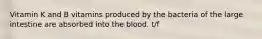 Vitamin K and B vitamins produced by the bacteria of the large intestine are absorbed into the blood. t/f