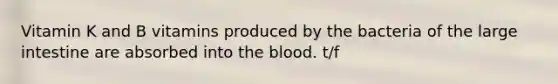 Vitamin K and B vitamins produced by the bacteria of the large intestine are absorbed into the blood. t/f