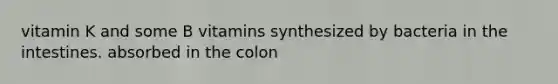 vitamin K and some B vitamins synthesized by bacteria in the intestines. absorbed in the colon