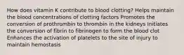 How does vitamin K contribute to blood clotting? Helps maintain the blood concentrations of clotting factors Promotes the conversion of prothrombin to thrombin in the kidneys Initiates the conversion of fibrin to fibrinogen to form the blood clot Enhances the activation of platelets to the site of injury to maintain hemostasis