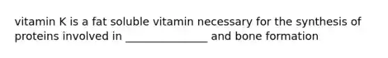 vitamin K is a fat soluble vitamin necessary for the synthesis of proteins involved in _______________ and bone formation