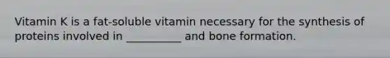 Vitamin K is a fat-soluble vitamin necessary for the synthesis of proteins involved in __________ and bone formation.