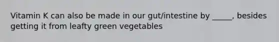 Vitamin K can also be made in our gut/intestine by _____, besides getting it from leafty green vegetables