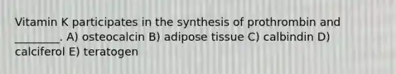 Vitamin K participates in the synthesis of prothrombin and ________. A) osteocalcin B) adipose tissue C) calbindin D) calciferol E) teratogen