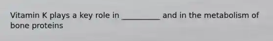 Vitamin K plays a key role in __________ and in the metabolism of bone proteins