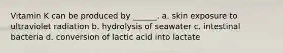 Vitamin K can be produced by ______. a. skin exposure to ultraviolet radiation b. hydrolysis of seawater c. intestinal bacteria d. conversion of lactic acid into lactate