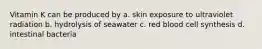 Vitamin K can be produced by a. skin exposure to ultraviolet radiation b. hydrolysis of seawater c. red blood cell synthesis d. intestinal bacteria