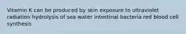 Vitamin K can be produced by skin exposure to ultraviolet radiation hydrolysis of sea water intestinal bacteria red blood cell synthesis