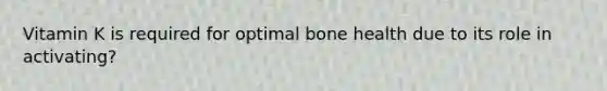 Vitamin K is required for optimal bone health due to its role in activating?