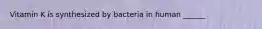 Vitamin K is synthesized by bacteria in human ______