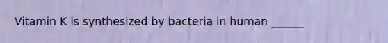 Vitamin K is synthesized by bacteria in human ______