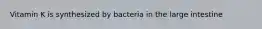 Vitamin K is synthesized by bacteria in the large intestine